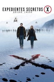 Los expedientes secretos X: Quiero creer​