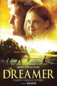 Persiguiendo un sueño: Basada en una historia real