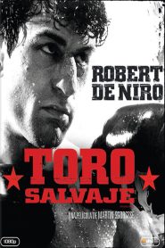 Toro Salvaje